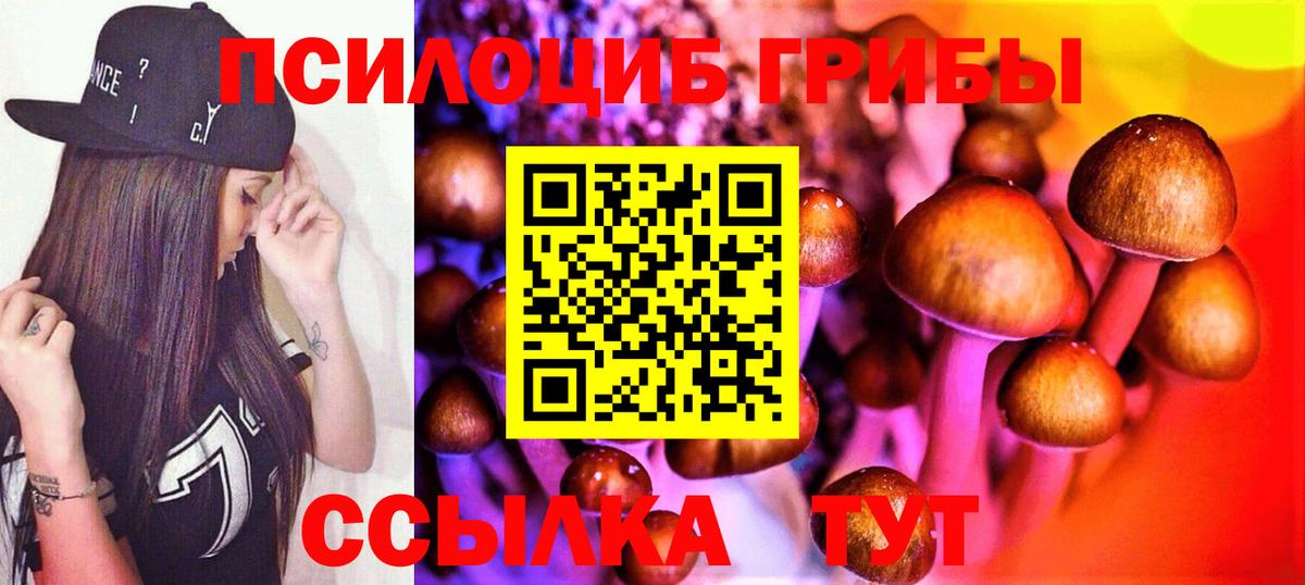 Галлюциногенные грибы Psilocybe Кашира